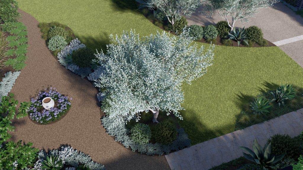 3D and 2D Landscape and Pool Design